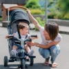 Dreirad Und Kinderwagen Faltbar Evolutive Robin Trike Smoby Mit Klappbarer Rückenlehne Und Leisen Rädern Ab 6 Monaten