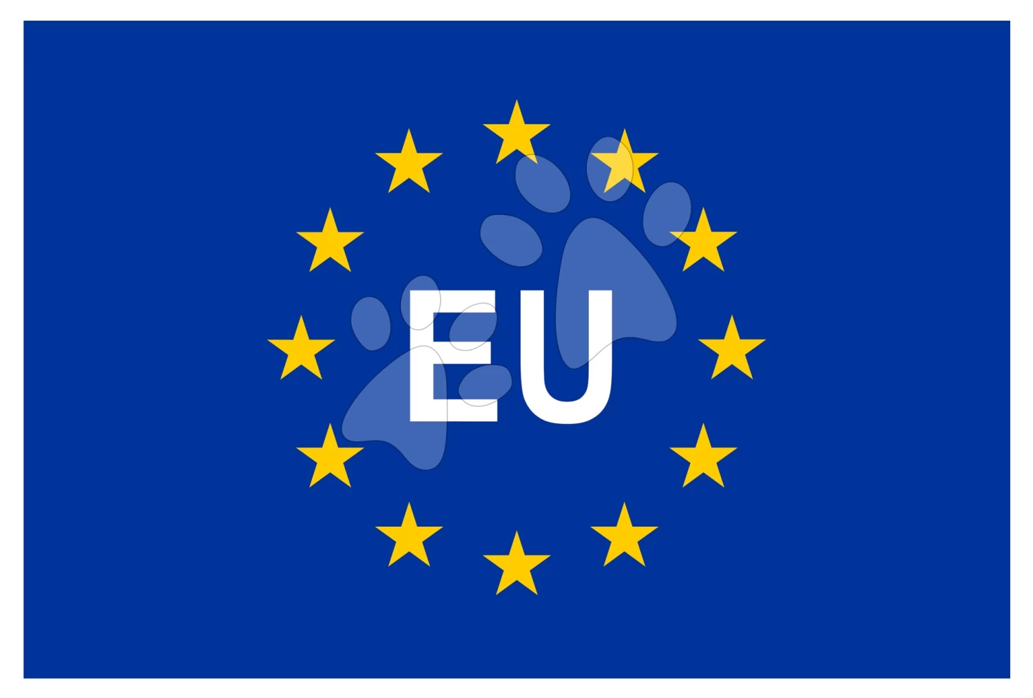 Helm Frozen Mondo Größe 52-56 Türkis-pink – Bild 5