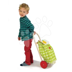 Textileinkaufswagen Shopping Trolley Green Tender Leaf Toys Mit Holzkonstruktion